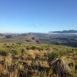 Meet your Posher, Erasmo